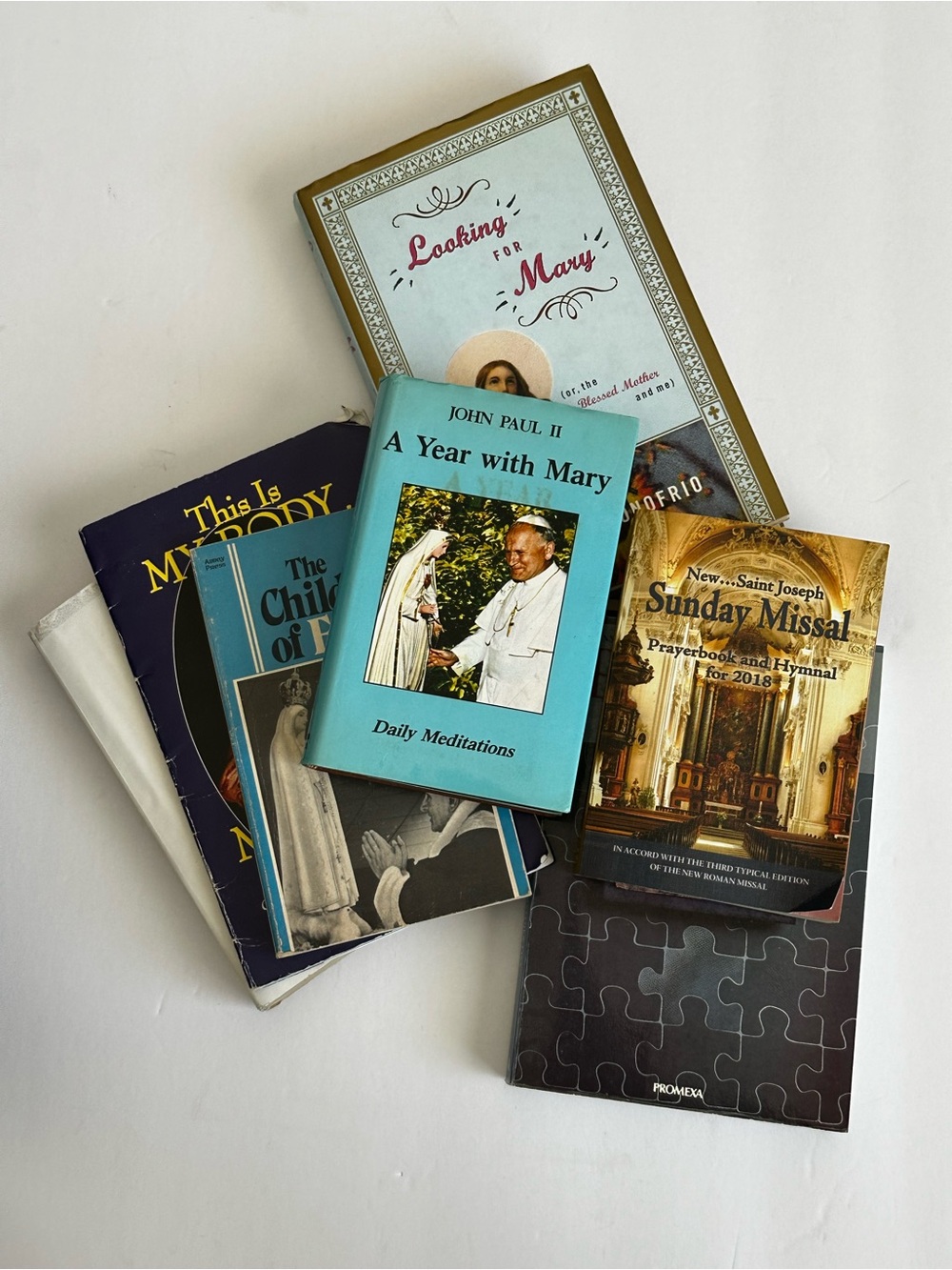 A Year with Mary - Light Blue Daily Meditations Paperback